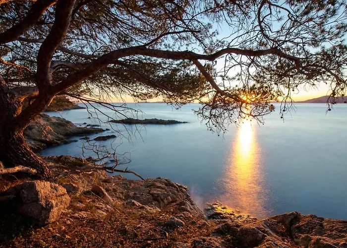 Proche Et Commerces - Climatise, Parking, Wi-fi - Fr-1-466a-12 *